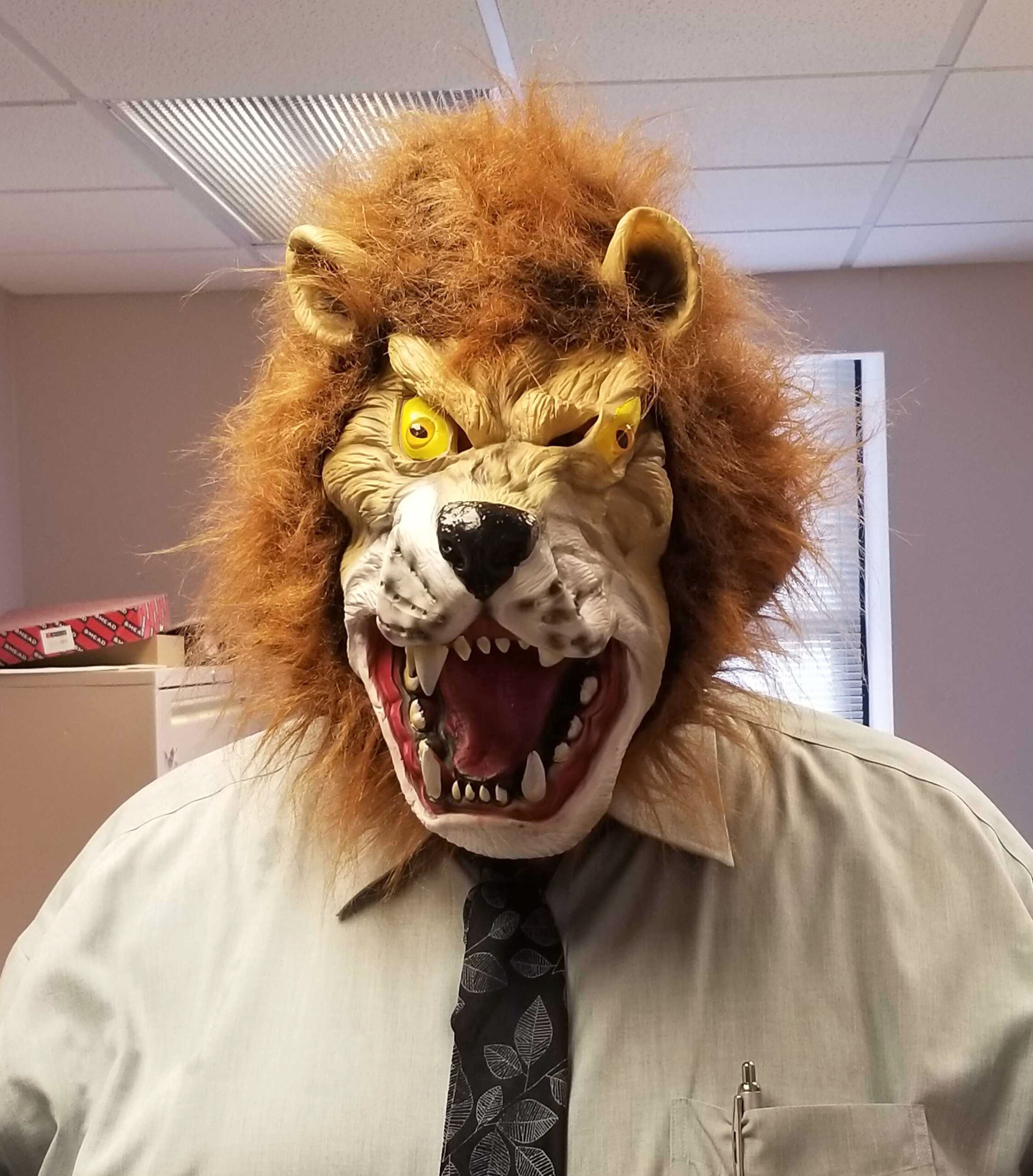 Decker Law Halloween Costumes